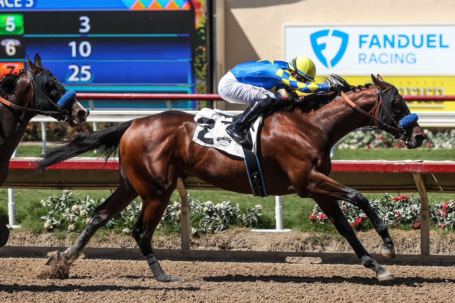 Litmus Test (Photo by Horsephotos.com)
