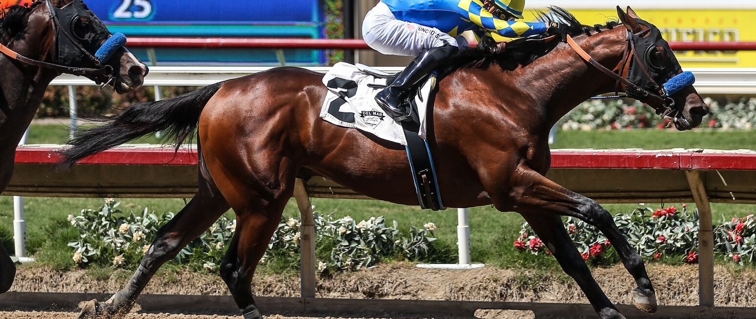 Litmus Test (Photo by Horsephotos.com)