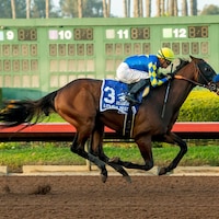 Litmus Test justified 3-5 favoritism in the Los Alamitos Futurity (G2)