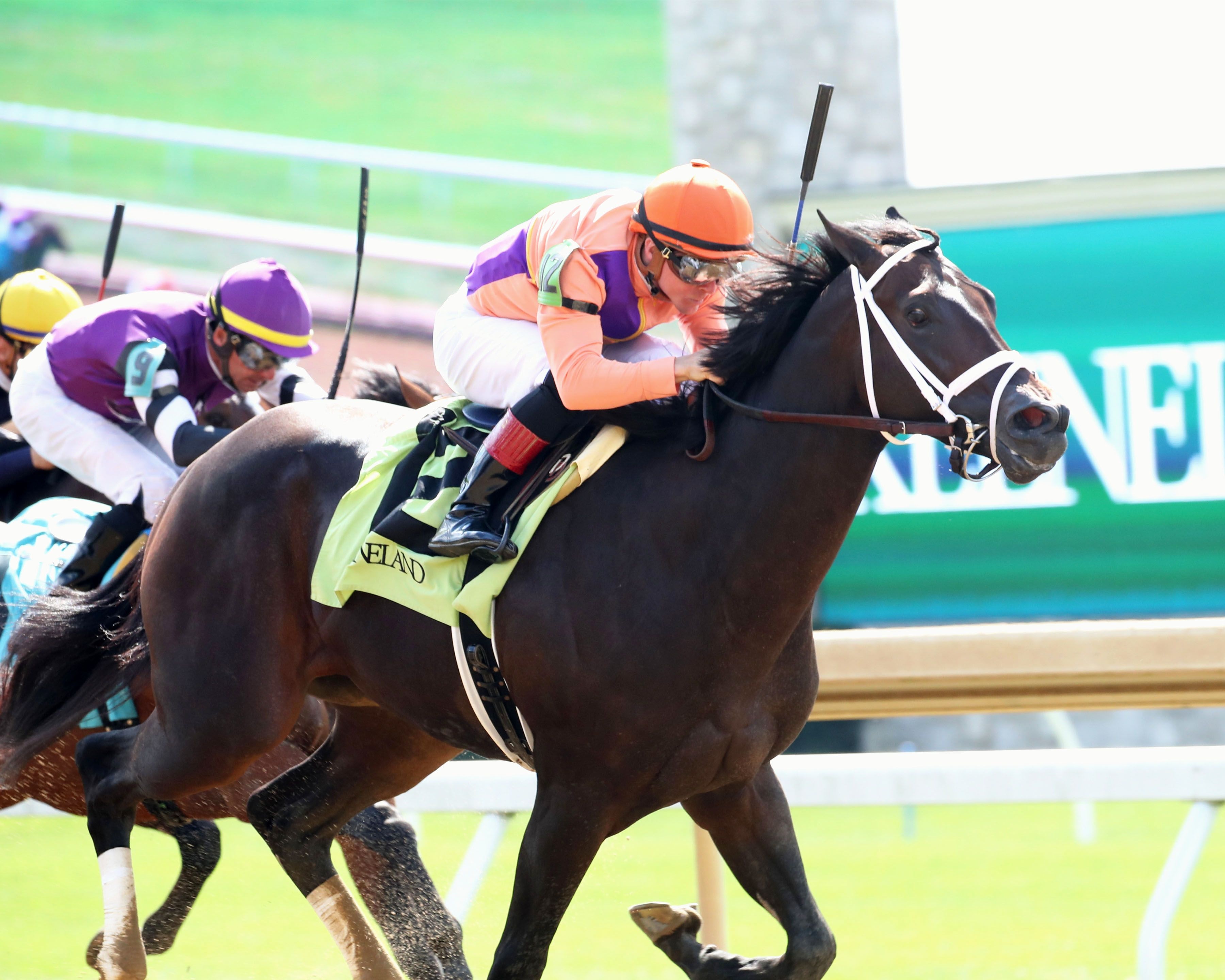 Local Knowledge won on debut at Keeneland