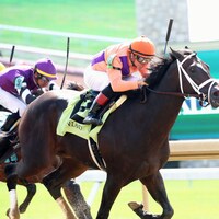 Local Knowledge won on debut at Keeneland