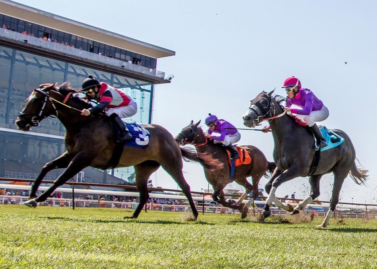 Racing at Louisiana Downs
