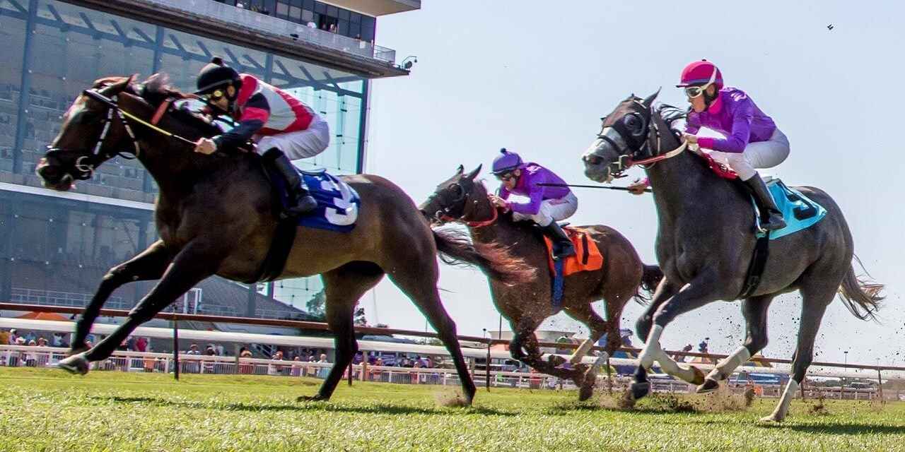 Racing at Louisiana Downs