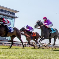 Racing at Louisiana Downs