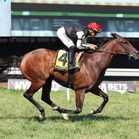 Love Appeals wins the Incredible Revenge Stakes at Monmouth Park.