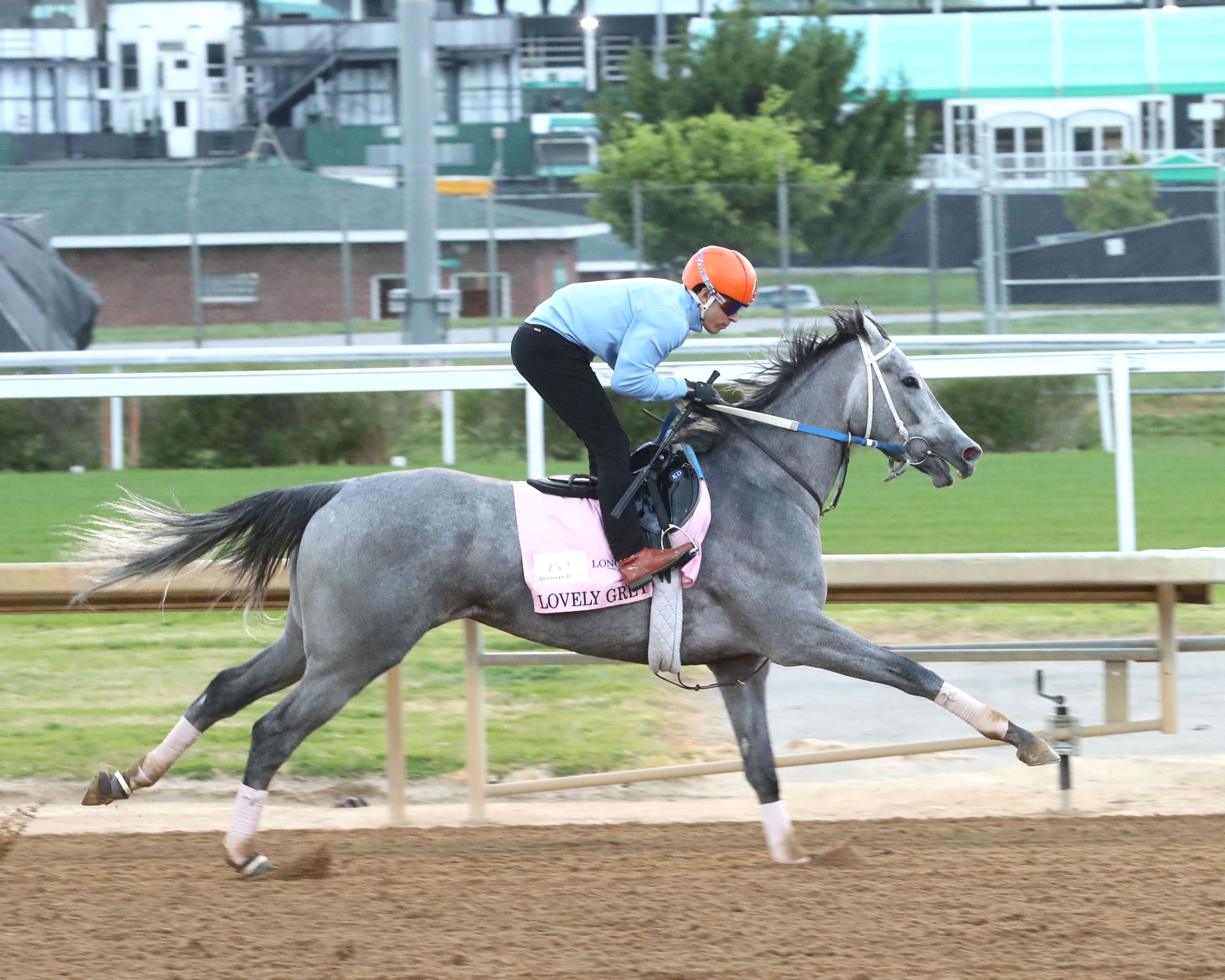 Lovely Grey training at Churchill Downs