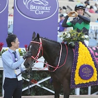 Loves Only You in the winner's circle after the Breeders' Cup Filly & Mare Turf