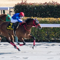 Lucky Kid winning the Hyacinth S. at Tokyo Racecourse