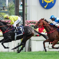 Lucky Sweynesse Hong Kong Sprint