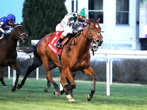 Lush Lips was game to prevail at odds-on in the Mrs. Revere (G2)