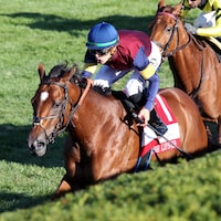 Lush Lips defeats Laurelin in the Queen Elizabeth II Challenge Cup (G1)