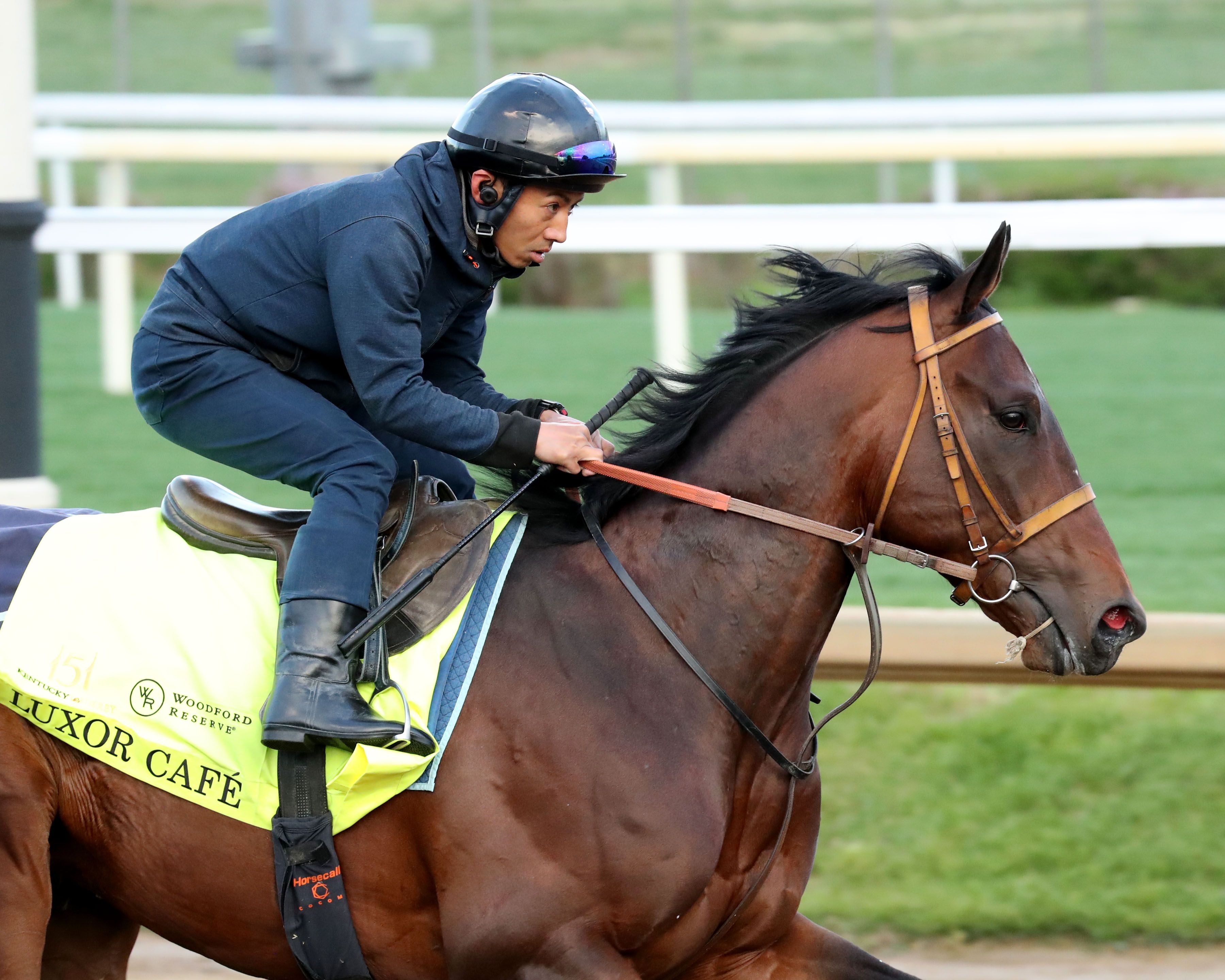 Luxor Cafe gallops at Churchill Downs