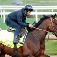 Luxor Cafe gallops at Churchill Downs