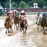 Magnitude wins the Stephen Foster Stakes (G1) at Churchill Downs. 