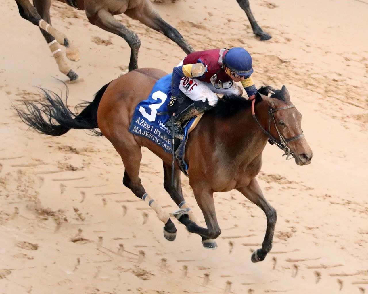 Majestic Oops wins the Azeri Stakes at Oaklawn Park.