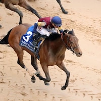 Majestic Oops wins the Azeri Stakes at Oaklawn Park.