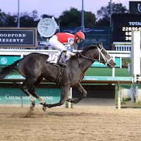 McAfee, a half-brother to Thorpedo Anna, scores on debut at Churchill Downs