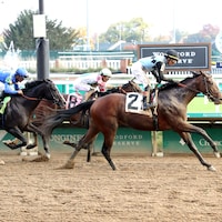 Mesquite wins at Churchil Downs.