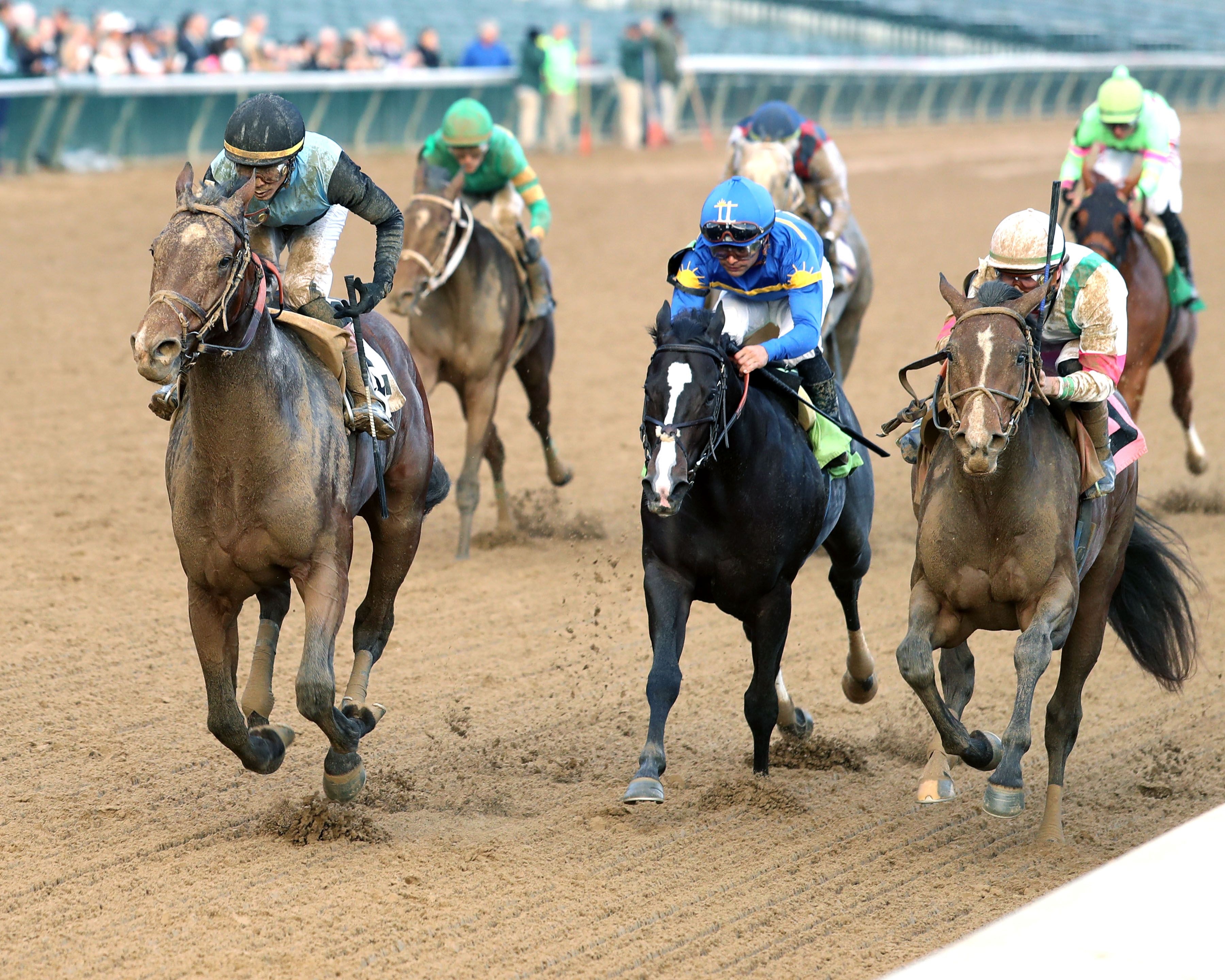 Mesquite wins at Churchil Downs.