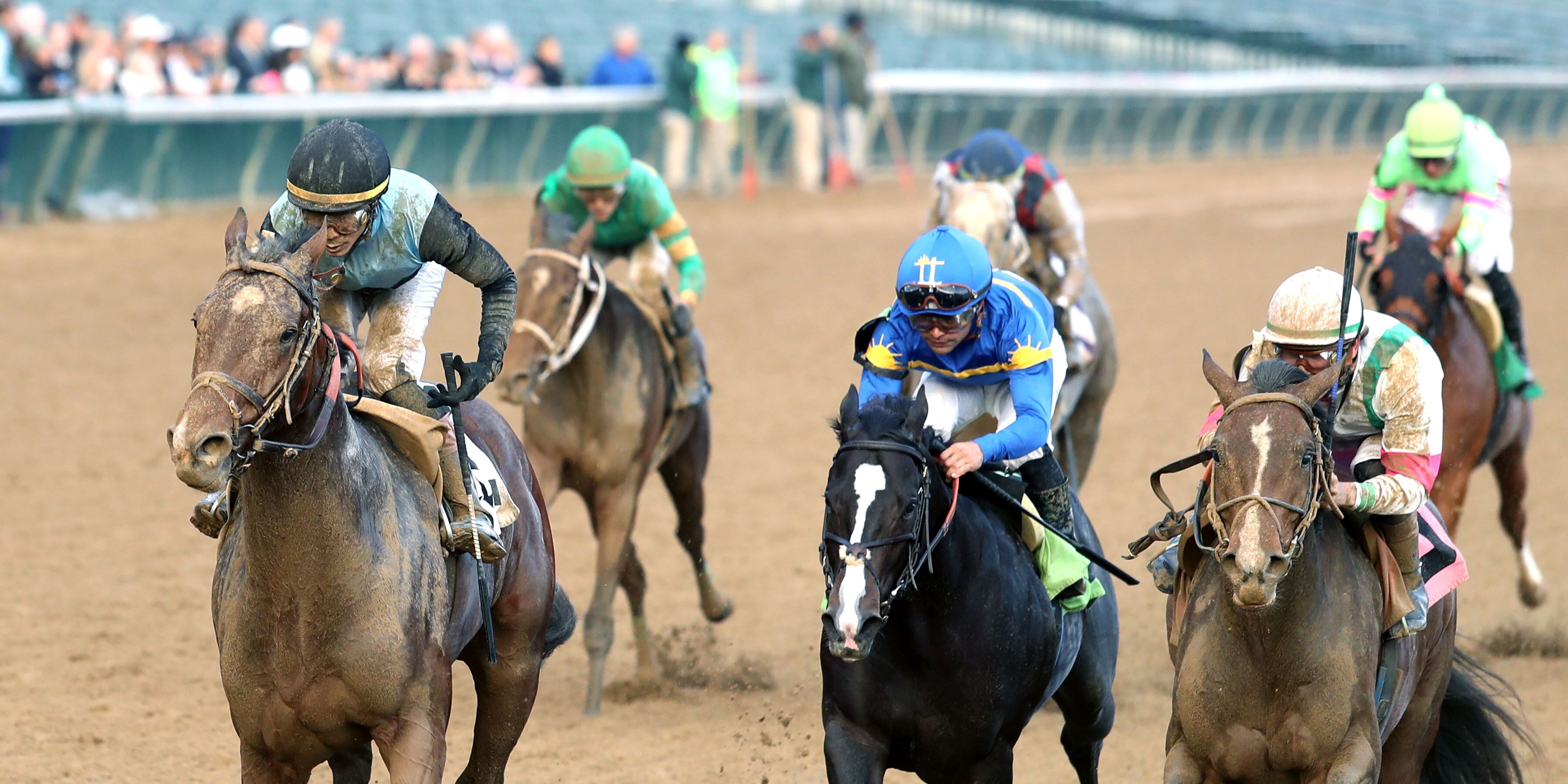 Mesquite wins at Churchil Downs.