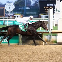 Mob winning a Churchill Downs maiden special weight