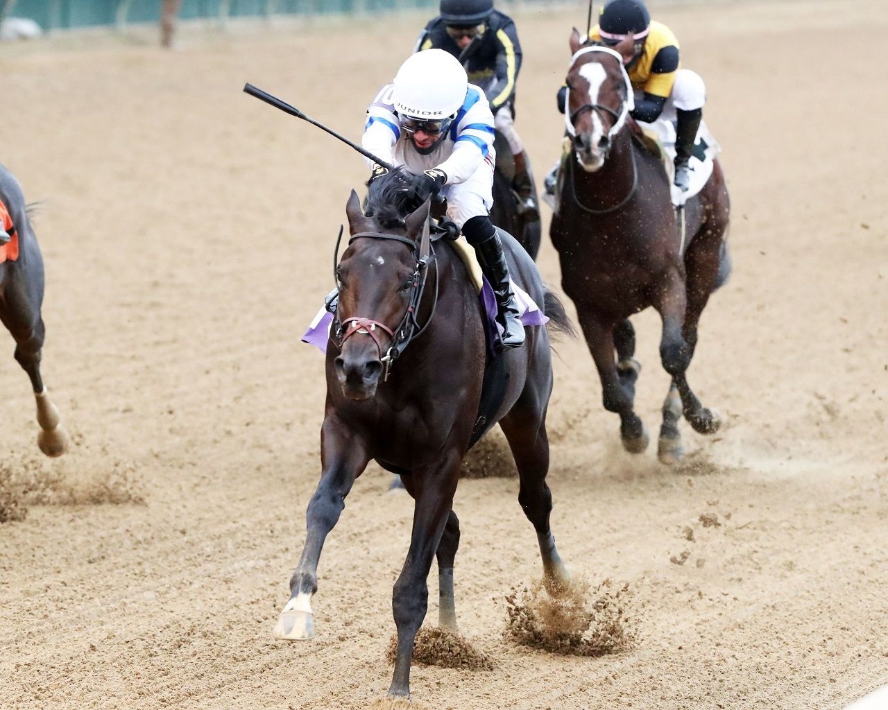 Mo Quality breaking his maiden at Churchill Downs (Photo by Coady Media)
