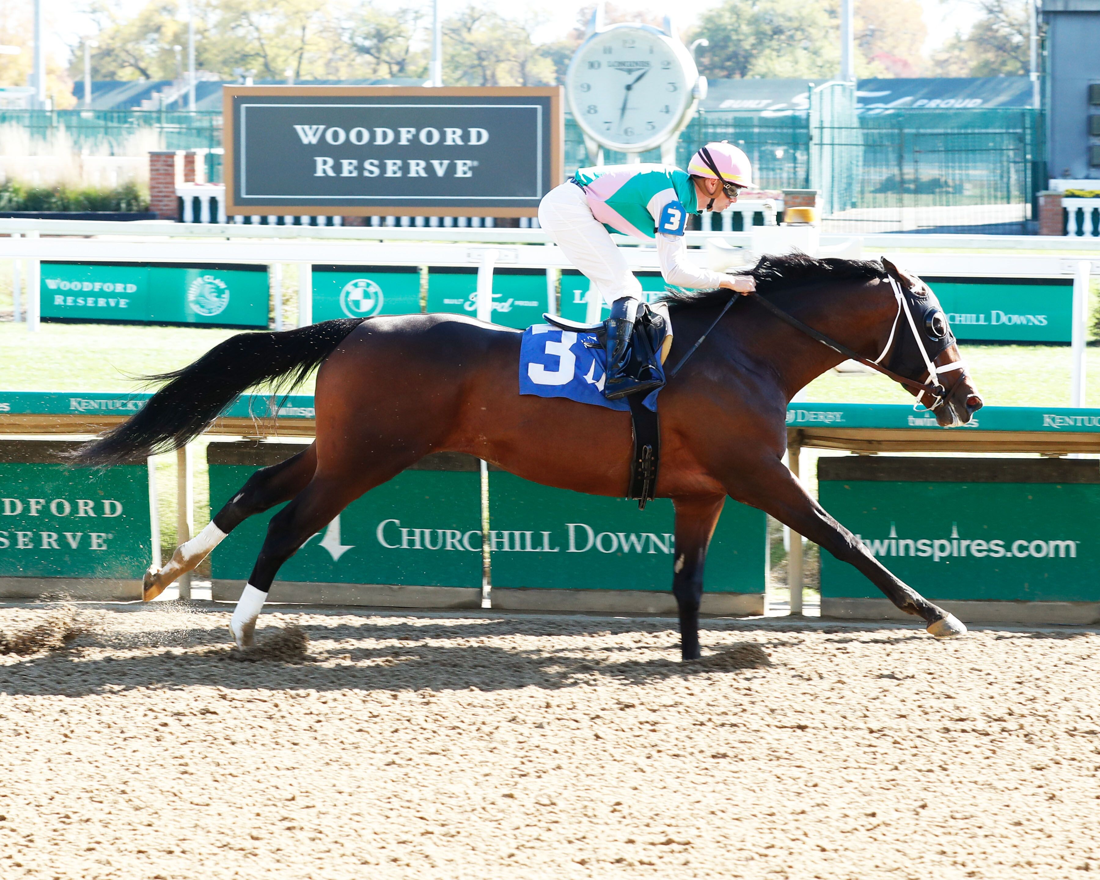 Mullion winning a maiden special weight at Churchill Downs. (Coady Photography)