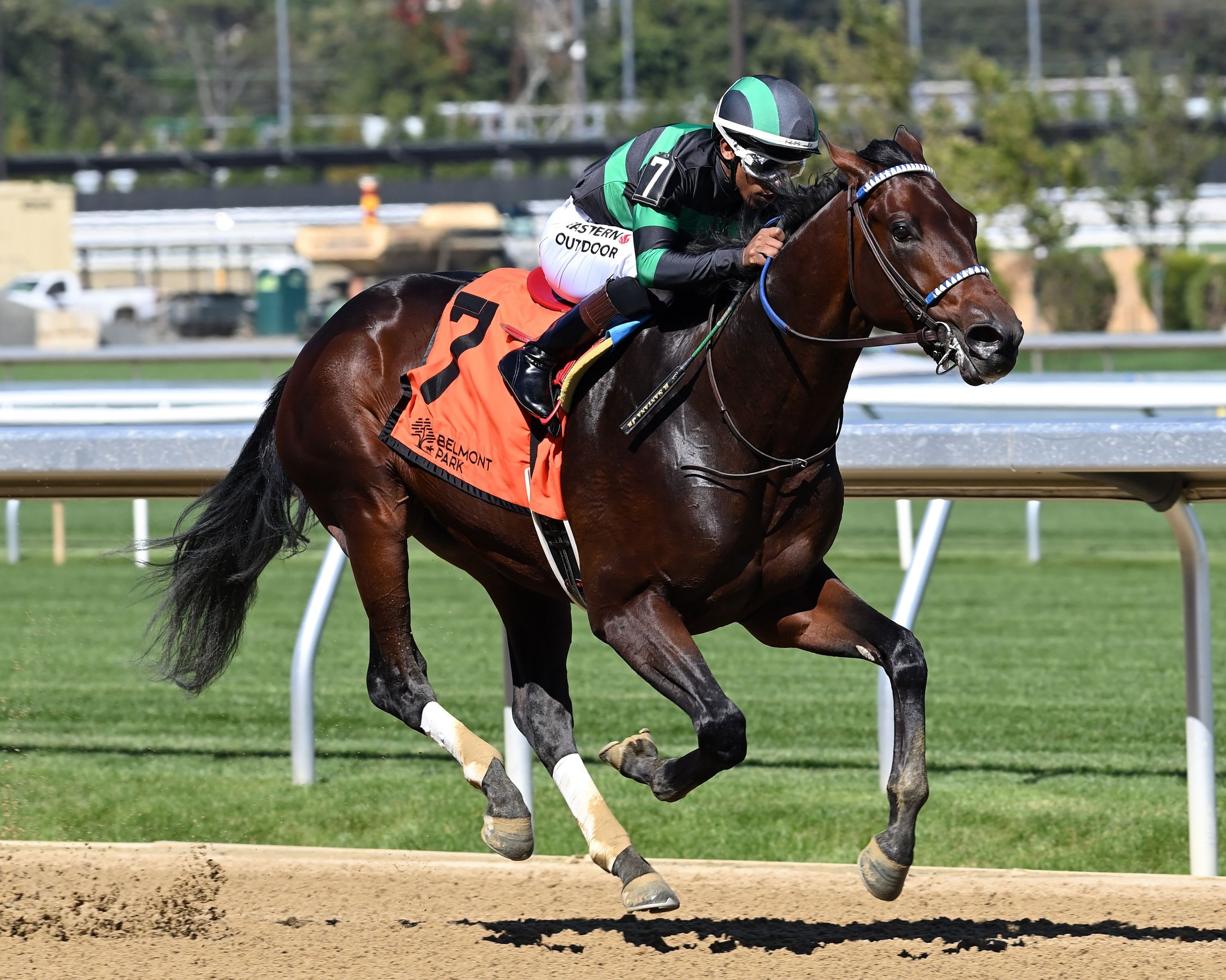 Mystik Bayou breaks his maiden at Belmont Park.