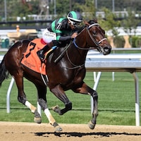 Mystik Bayou breaks his maiden at Belmont Park.
