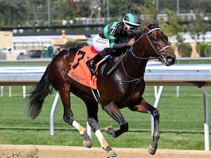 Mystik Bayou breaks his maiden at Belmont Park.
