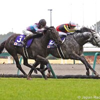 Mad Cool just staves off Namura Clair in the 2024 Takamatsunomiya Kinen (Photo copyright Japan Racing Association)