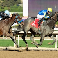 Madaket Road wins at Santa Anita.