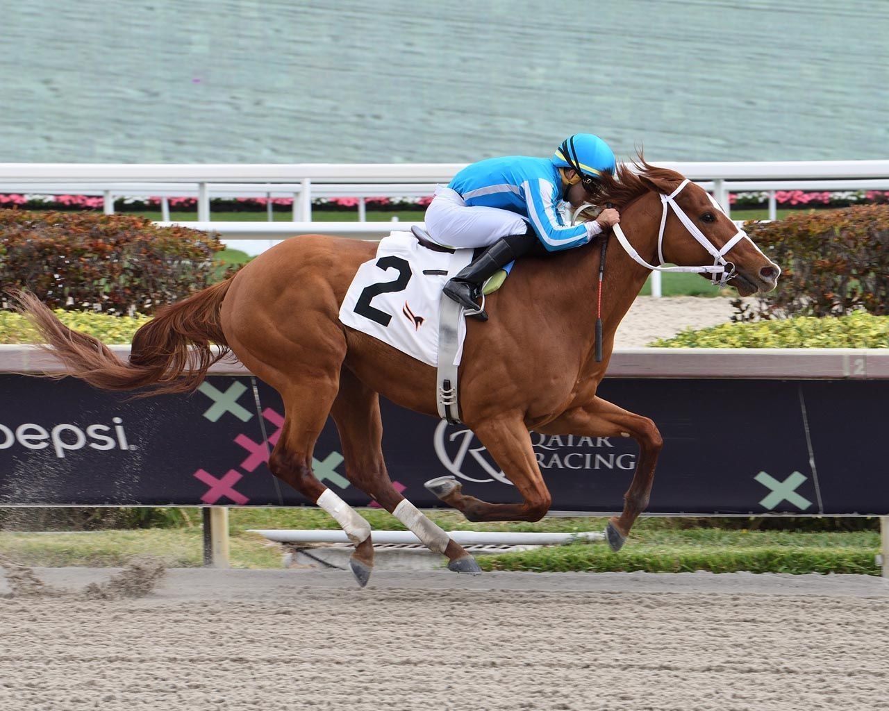 Mage wins at Gulfstream Park