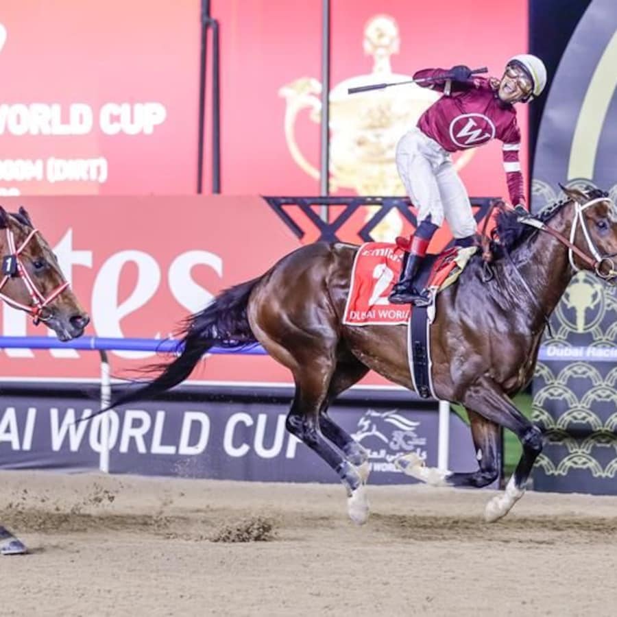 Magnitude topples Forever Young in the Dubai World Cup (G1)