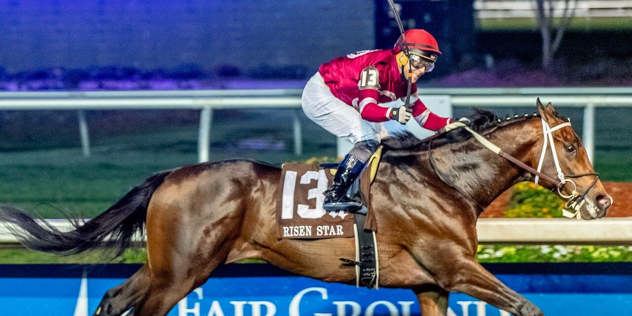 Magnitude wins the Risen Star at Fair Grounds. 