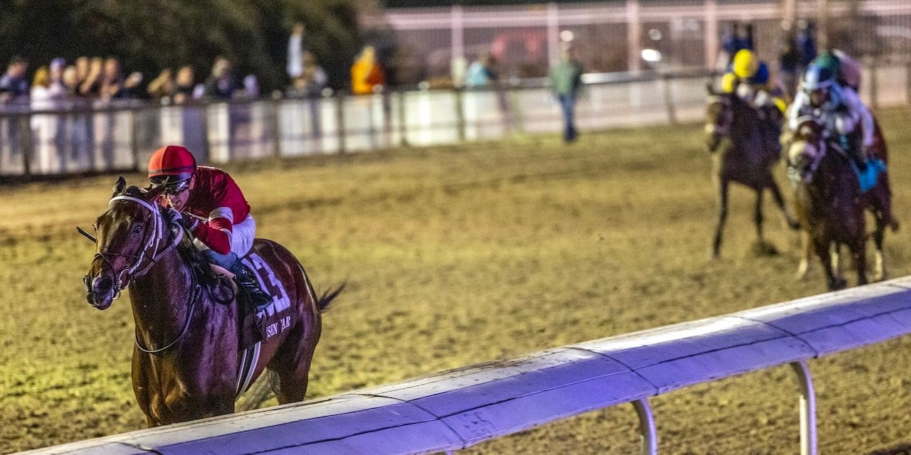 Magnitude wins the Risen Star at Fair Grounds.