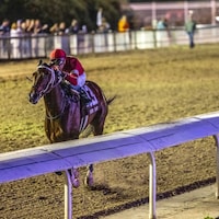 Magnitude wins the Risen Star at Fair Grounds.