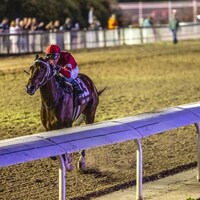 Magnitude winning the Risen Star (G2) at Fair Grounds (Photo by Hodges Photography)
