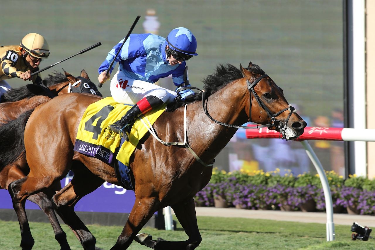 Magnum Force wins the Breeders' Cup Turf Sprint at Del Mar.