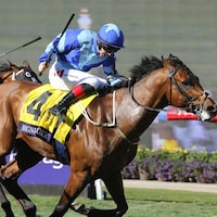 Magnum Force wins the Breeders' Cup Turf Sprint at Del Mar.