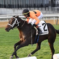 Map of the Moon wins the Stewart Manor Stakes at Aqueduct.