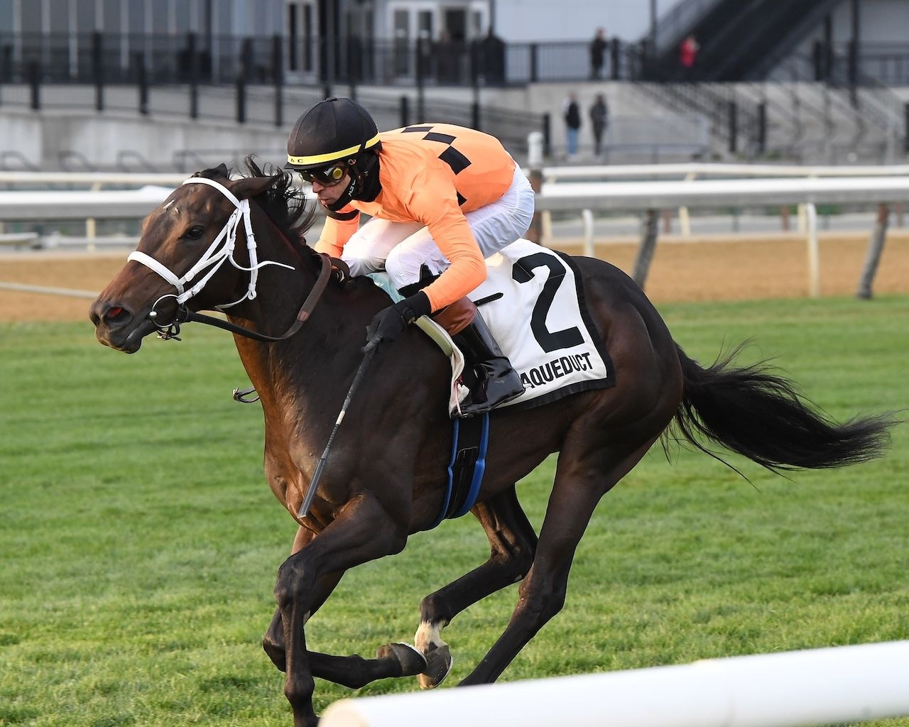 Map of the Moon wins the Stewart Manor Stakes at Aqueduct.