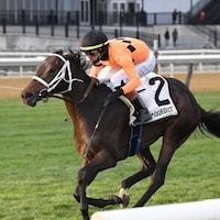 Map of the Moon wins the Stewart Manor Stakes at Aqueduct.