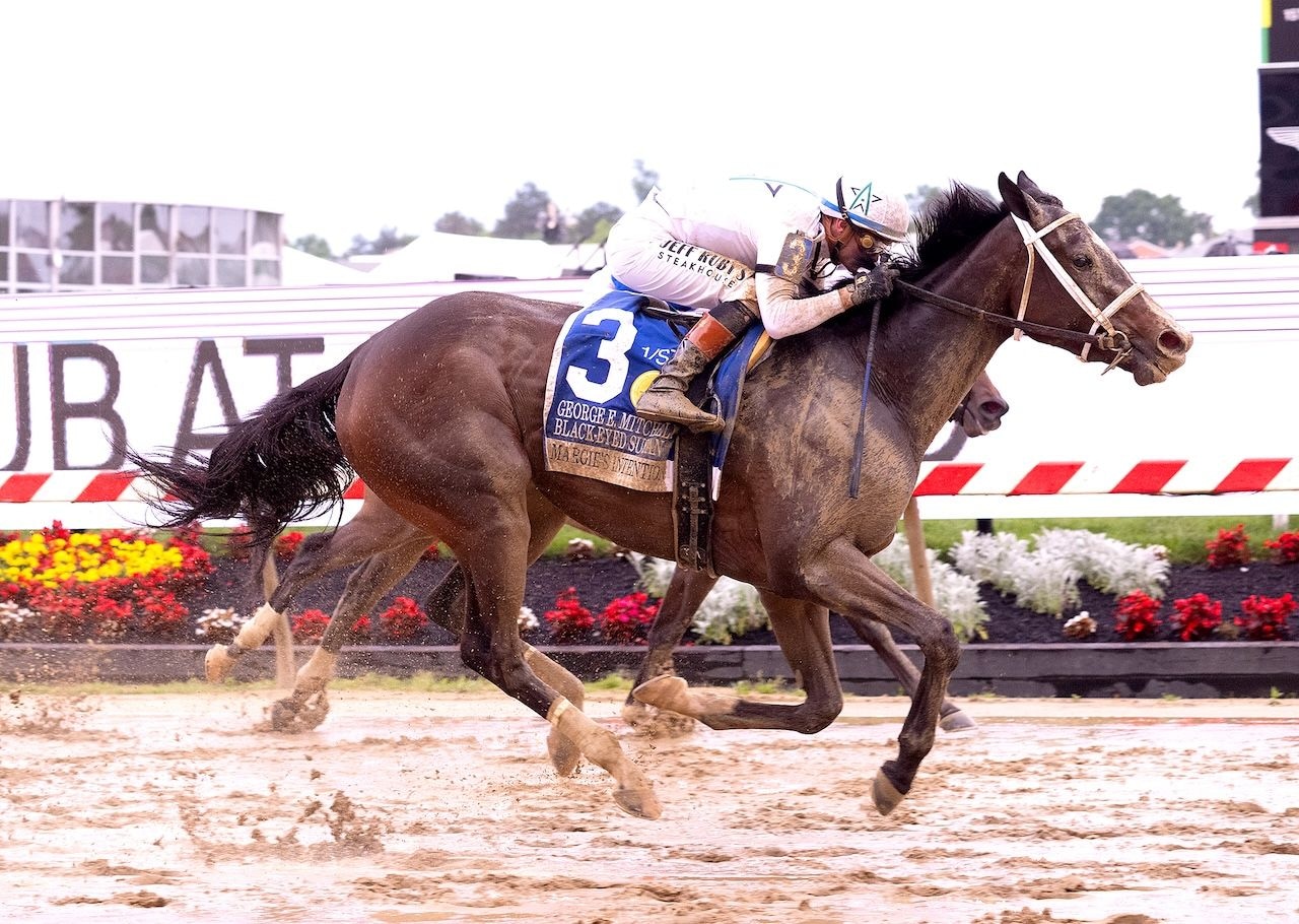 Margie's Intention wins the Black Eyed Susan at Pimlico Park.