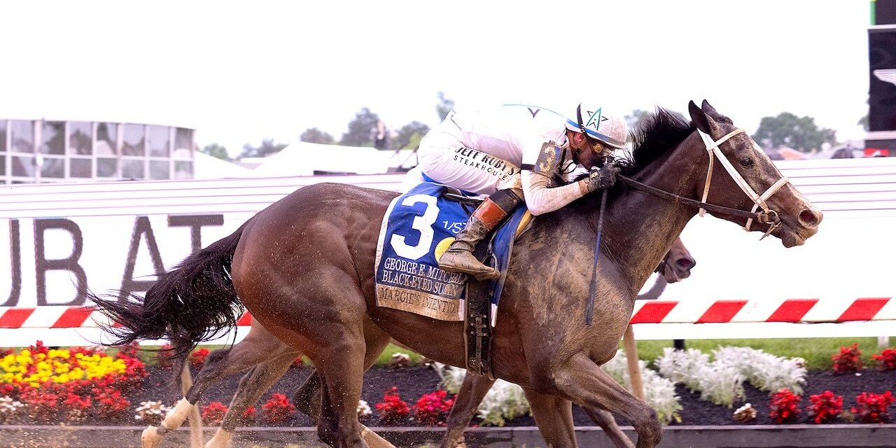 Margie's Intention wins the Black Eyed Susan at Pimlico Park.