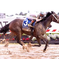 Margie's Intention wins the Black Eyed Susan at Pimlico Park.