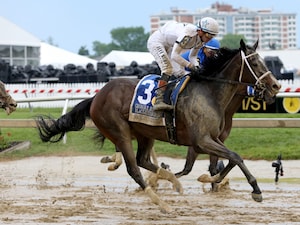 Margie's Intention wins at Pimlico. 