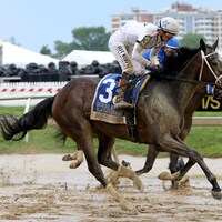 Margie's Intention wins at Pimlico.