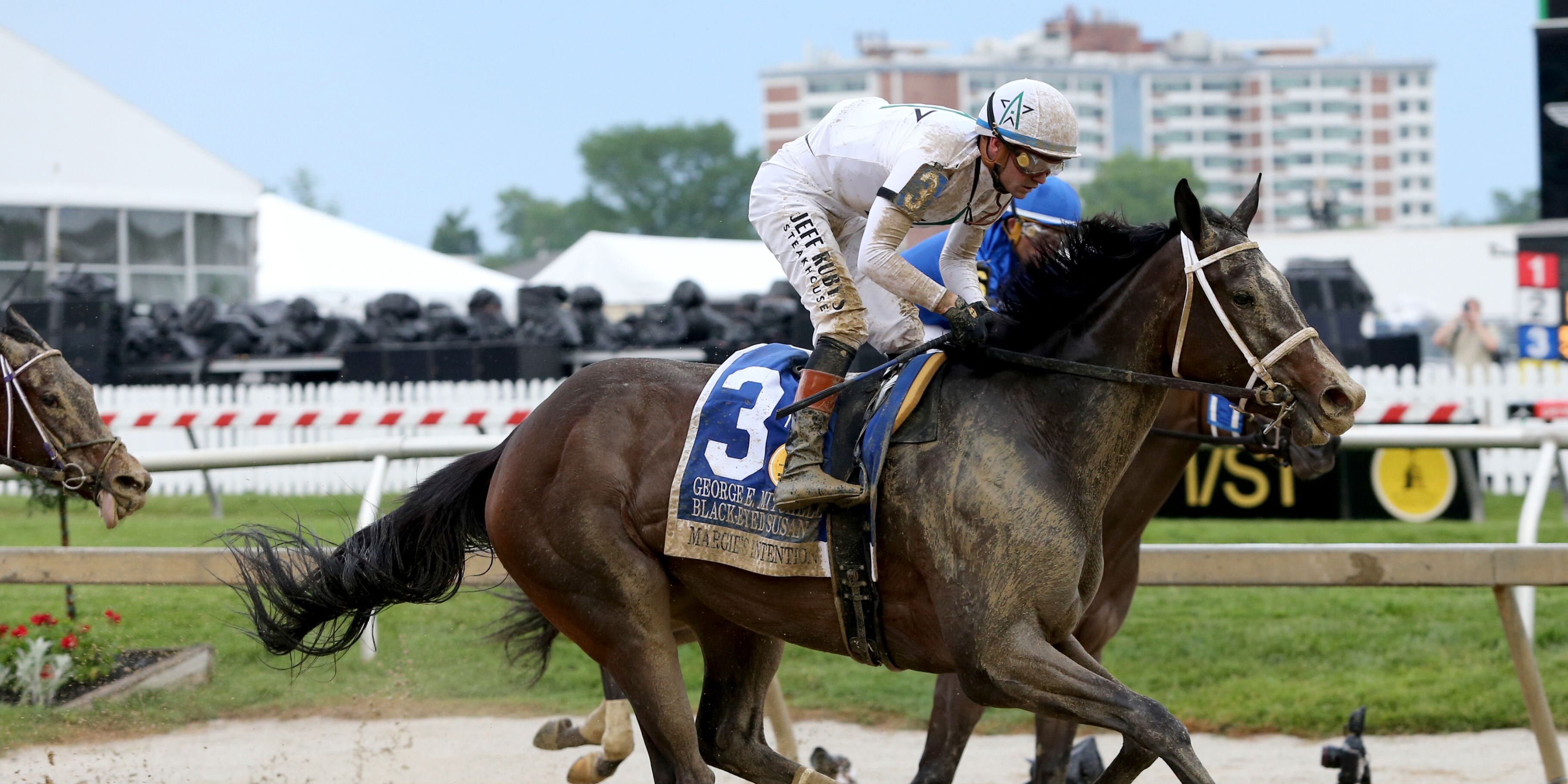 Margie's Intention wins at Pimlico.