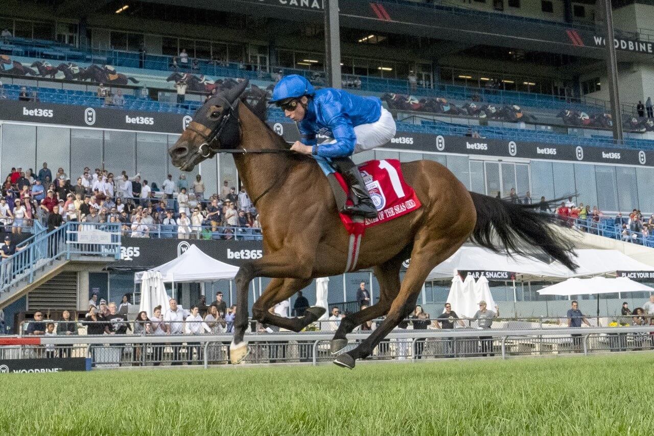 Master of the Seas at Woodbine (Photo by Michael Burns Photography)